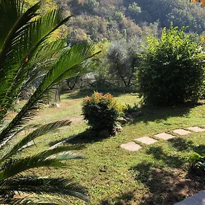 Costanza , Larciano Italia